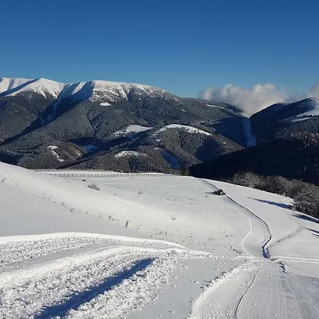 Διαμέρισμα Borka